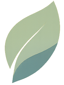 revitapath.pages.dev favicon